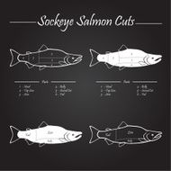 Sockeye salmon cuts diagram N2