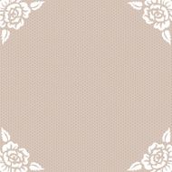 lace vintage background N3