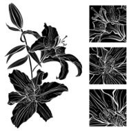 Lily Black and white vector illustration N2