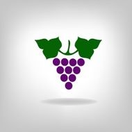 silhouette of grapes N10