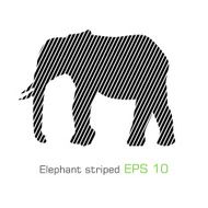 The striped elephant - illustration