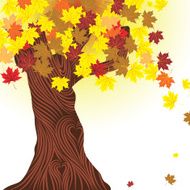 Beautiful autumn tree N3