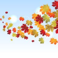 EPS10 Autumn maple leaves background Vector illustration N3