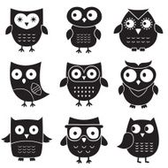 Owls set isolated vector elements