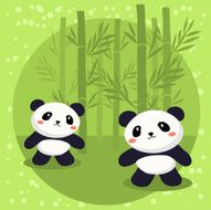 Two Little Panda N2