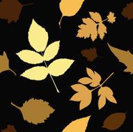 yellow leaves N4
