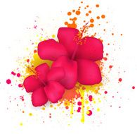 Hibiscus flowers on grunge background N2
