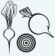 Fresh beetroot with leaves N2