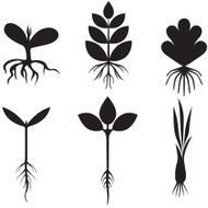 Silhouette sprout set