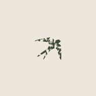 Swallow bird abstract vector logo design template N14