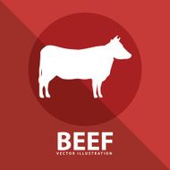 beef cow N3