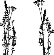 Silhouettes of flowers and grass N66