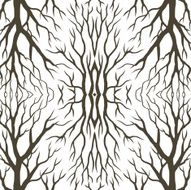 root abstract N2