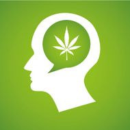 Thinking head silhouette a hemp