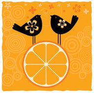 Birds and Fruits (Series) N16