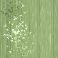 Seamless pattern of dandelion Hand-drawn floral background N2