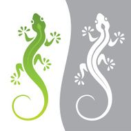 Lizard N34