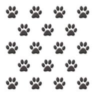 Paw Print N16
