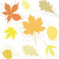 autumn leaves N97