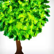 Tree N129