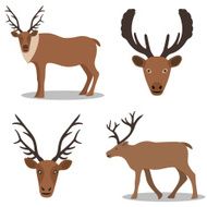 Deer and their head