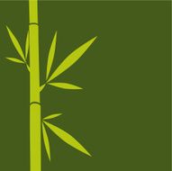 Bamboo detail