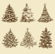 Christmas Trees N43