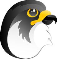 Falcon N3