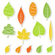 Set of leaves Vector illustration N5