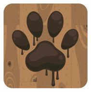 Paw track on the floor