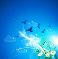 Summer background N70