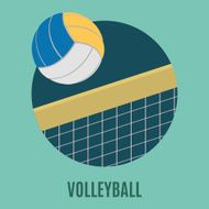 Volleyball N29