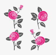 Rose N98