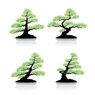 Bonsai Tree N7