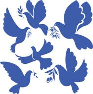 dove N17