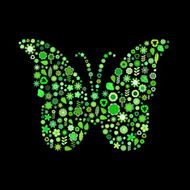 butterfly shape