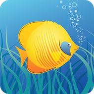 Tropical butterfly fish under water N2