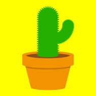 Small cactus in pot