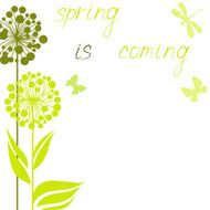 spring N65