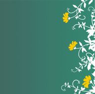 background three orange flower