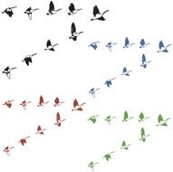 Large Flock of Canada Geese
