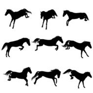 Jumping horses N3