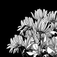 monochrome graphic flowers N2