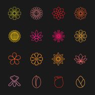 Flower colorful Icons Vector