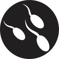 Sperm icon N2