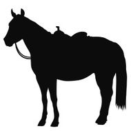 Western Horse Silhouette N2