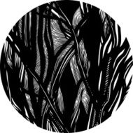abstract pattern of tree branches