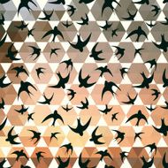 swallow and hexagons N2