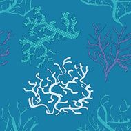 seamless blue pattern with coral