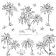 Tropical island palms and butterflies outline